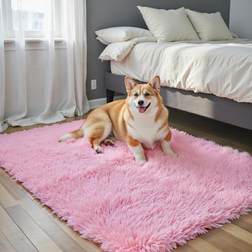 Small Shag Area Rug for Bedroom (Pink / 2' x 3' (Rectangular))