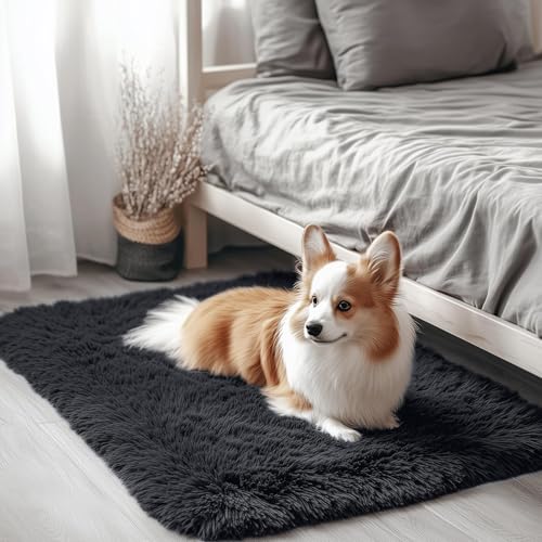 3x3 Machine Washable Small Bedside Rug (3x3 Ft Square / Black)