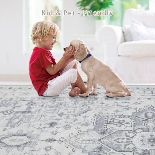 Washable Rugs 5x7 Area Rugs for Living Room (5' x 7' (Rectangular) / Grey/Cream/White/Light Blue)