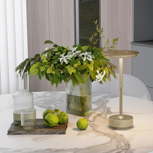 2 Pack Rechargeable Table Lamps Cordless (Champagne Gold-2)