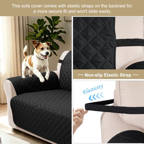 Oversized Loveseat Couch Cover for Dogs (Black/Black / Loveseat - Oversized (54"))