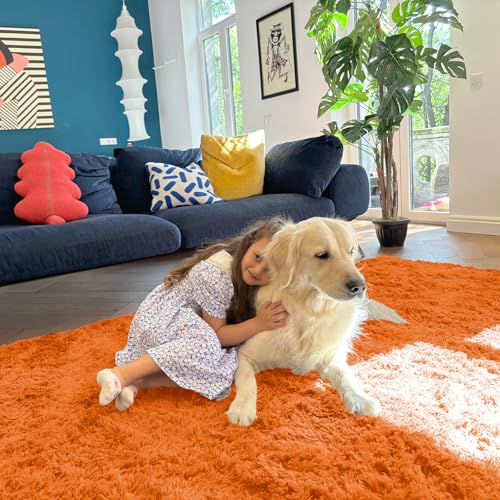 8x10 Machine Washable Large Area Rugs for Living Room (8x10 Ft / Orange)