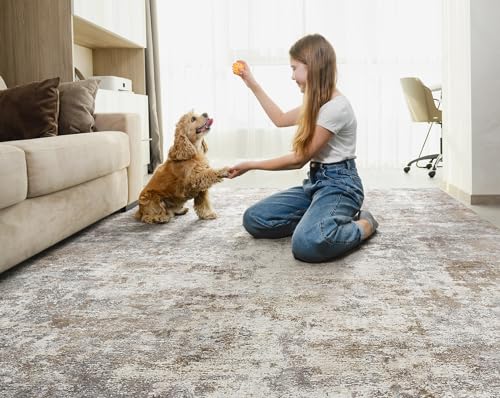 5x8 Area Rug Living Room Rugs Washable Neutral Brown Grey Carpet (Brown Grey / 5' x 8' (Rectangular))
