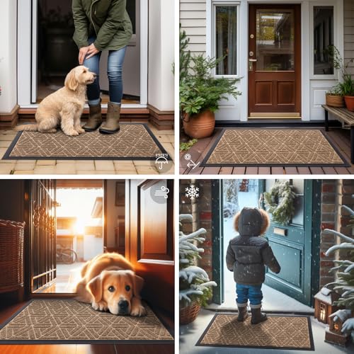 Front Door Mat Outside Entrance (Coffee / 29.5" X 17")