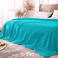 Fleece Blanket Soft Plush Queen Size Bed Blanket Peacock 90"x90" (Teal / Queen(90"x90"))