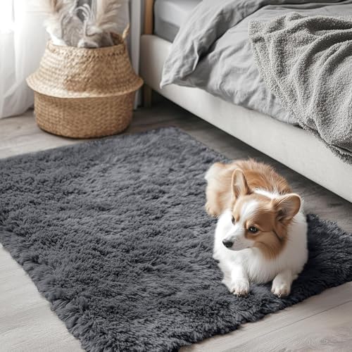 2x2 Machine Washable Small Rug (2×2 Ft Square / Grey)