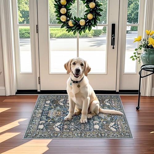 Washable 2x3 Runner Rug for Entryway (2' x 3' (Rectangular) / Floral/Blue)