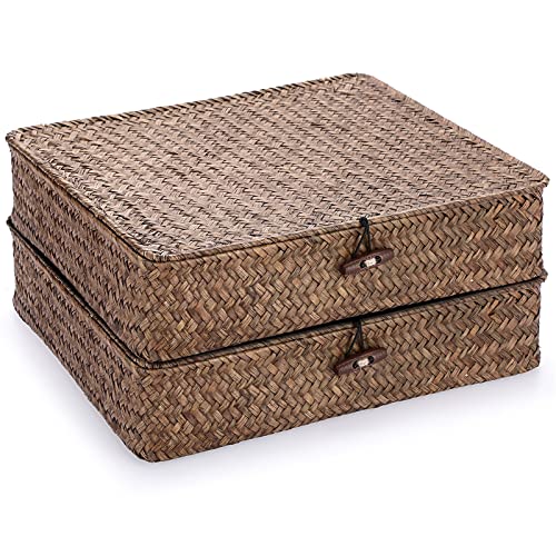 2 Packs FLat Woven Wicker Basket Bin with Lid (Large+Large / Coffee)