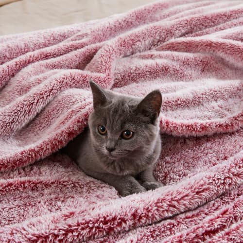 Fuzzy Large Fleece Throw Blanket for Couch (Mixed Deep Red / 50x70 IN)