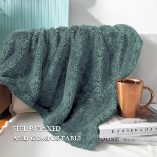 Fuzzy Plush Fleece Bed Blanket King Size (Celadon / 104x90 IN)