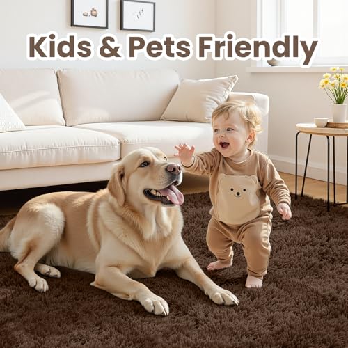 5x7 Fluffy Shag Area Rugs for Living Room Bedroom (Brown / 5' x 7' (Rectangular))