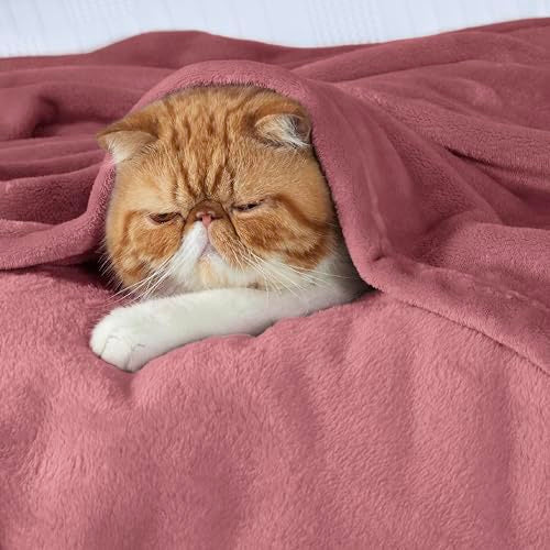 GentleSoft Fleece Throw Blanket for Couch Dusty Rose (Dusty Rose / Throw XL (50" X 70"))