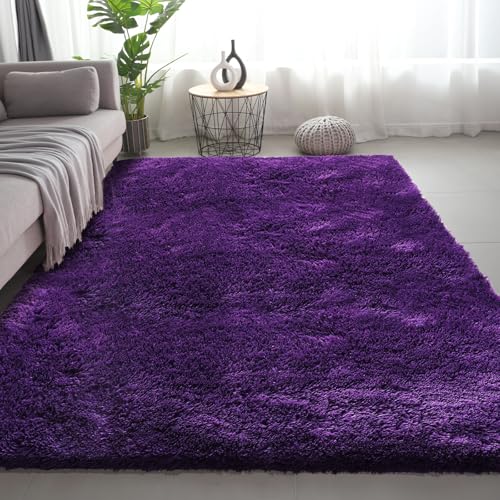 Shag Area Rugs for Bedroom Living Room