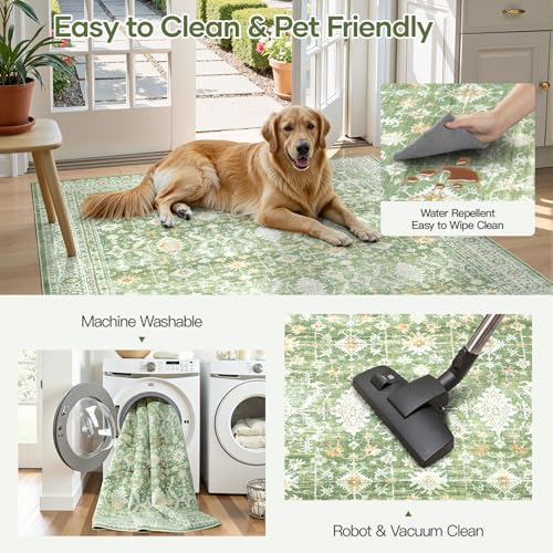 3x5 Area Rugs for Entryway (Light Green / 3' X 5' (Rectangular))