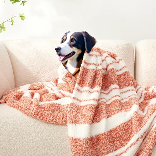 Orange Bedding Blanket Ultra Soft Microfiber (Stripe Orange / Twin (60"x80"))
