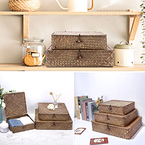 Set of 3 Flat Wicker Basket Bins with Lid (Small+Large+X-Large / Coffee)