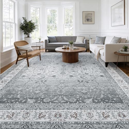 Amada 8x10 Washable Area Rug for Living Room (8' x 10' (Rectangular) / Silver/Gray)