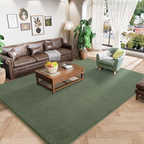 Sage Green Area Rugs for Bedroom Living Room (6' x 9' (Rectangular) / Sage Green)