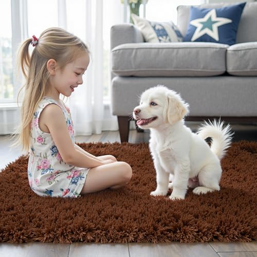 Small Shag Area Rug for Bedroom