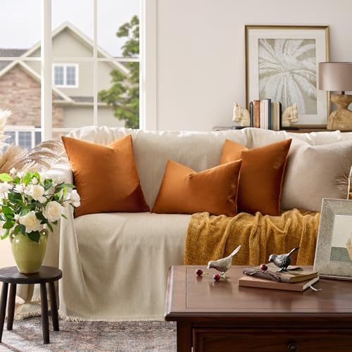 Burnt Orange Velvet Throw Pillow Covers 24x24 Pack of 2 (Dark Burnt Orange / 24" x 24" (Pack of 2))