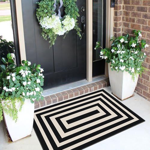 Front Door Mat Indoor Outside Entrance (Geometric Border- Black/White / 2' x 3' (Rectangular))