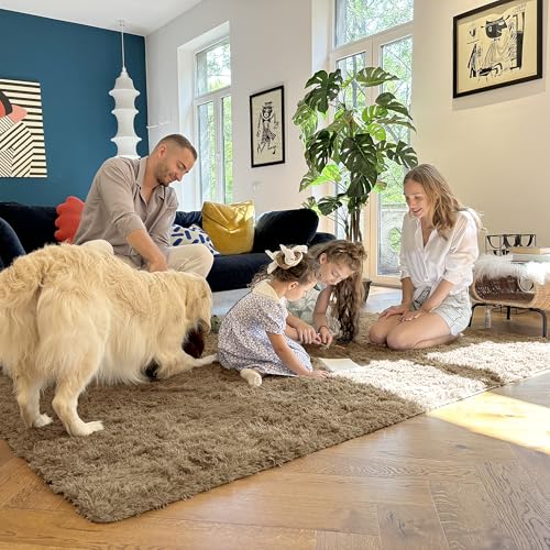 9x12 Machine Washable Large Area Rugs for Living Room (9x12 Ft / Taupe)