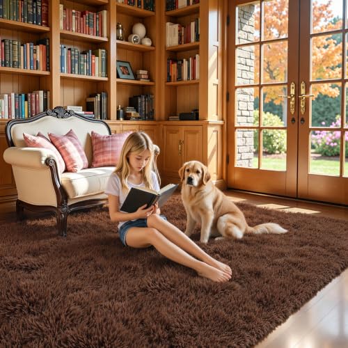 Fluffy Rug Shag Area Rug (Coffee / 3' x 5' (Rectangular))