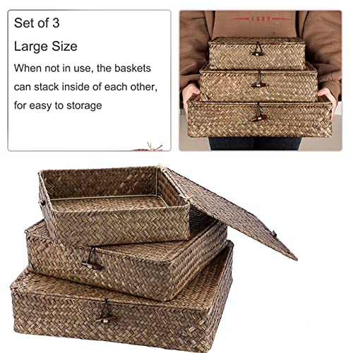 Set of 3 Flat Wicker Basket Bins with Lid (Small+Large+X-Large / Coffee)
