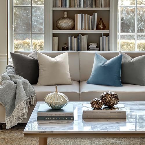 Velvet Throw Pillow Covers 20x20 Inch Pack of 2 Blue Gray (20" x 20" (Pack of 2) / Blue Gray)