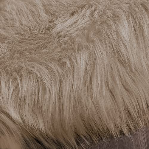Shag Area Rug 6.7x10 Light Brown Beige Washable Faux Fur Fuzzy Rugs for Living Room Sheepskin Rugs for Bedroom Room Soft Accent Carpet Home Decor Rectangle (6'7" x 10' (Rectangular) / Beige)