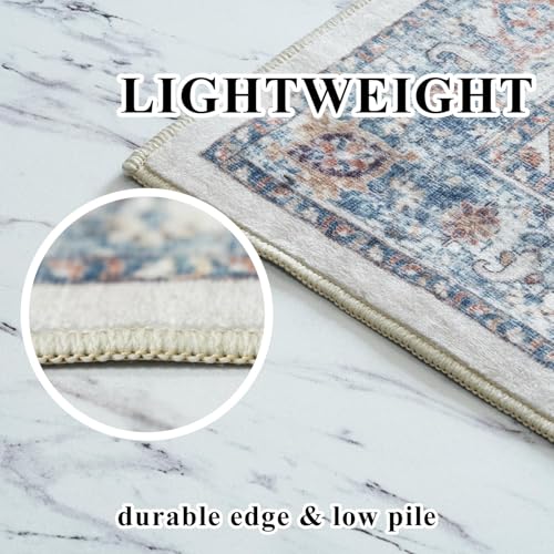 Washable 3x4 Entryway Area Rugs (3x4 / Brick)