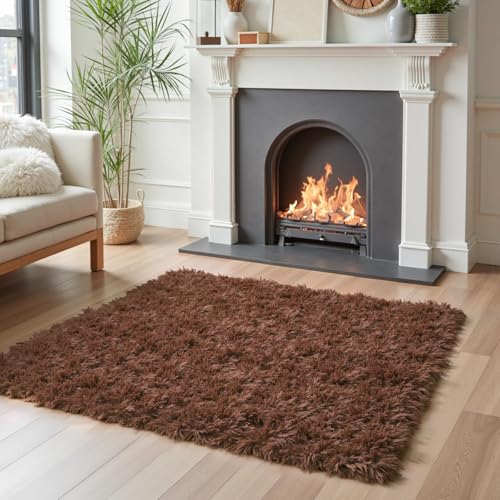 Small Shag Area Rug for Bedroom