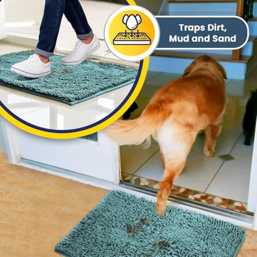 Super Water Absorbent Door Mat Indoor (Seafoam Green / 16" x 24")