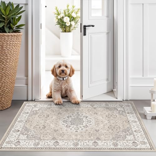 Washable 2x3 Entryway Area Rug (2' x 3' (Rectangular) / Beige)