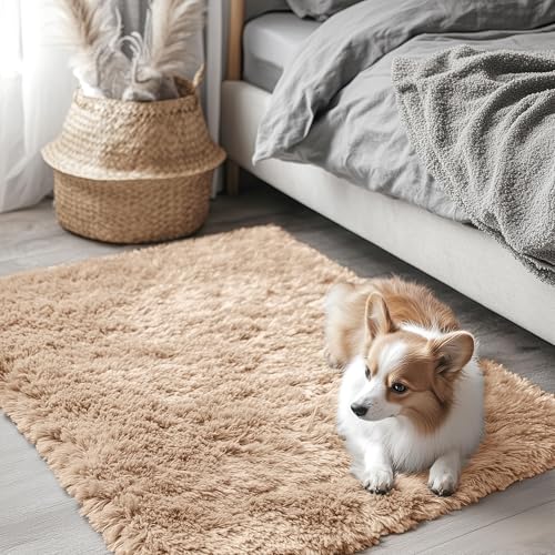 2x2 Machine Washable Small Rug (2×2 Ft Square / Beige)