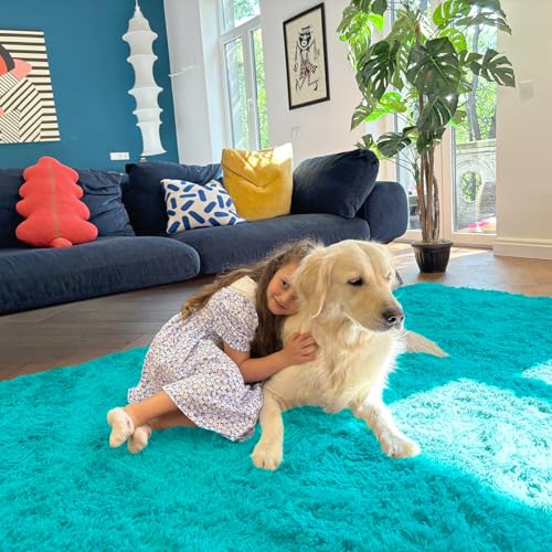5x7 Machine Washable Large Area Rugs for Living Room (5x7 Ft / Teal Blue)