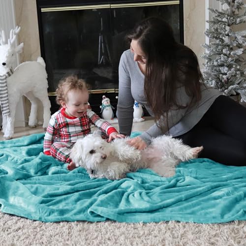GentleSoft Fleece Throw Blanket for Couch River Blue (River Blue / Throw (50" X 60"))