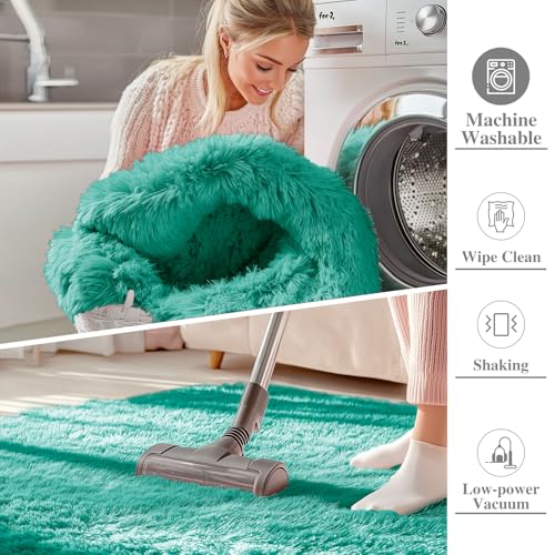 8x10 Machine Washable Large Area Rugs for Living Room (8x10 Ft / Teal Green)