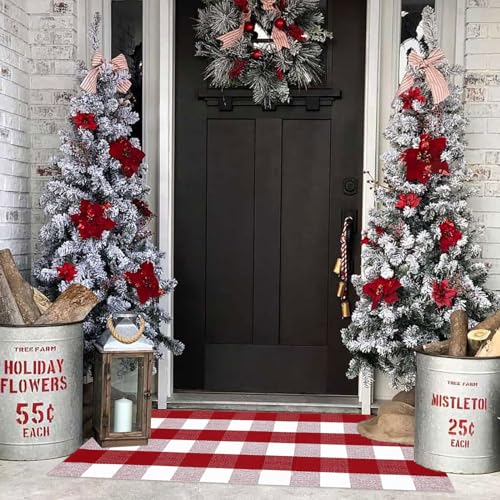 Christmas Plaid Outdoor Rug (2' x 4'3" (Rectangular) / Red and White Plaid)