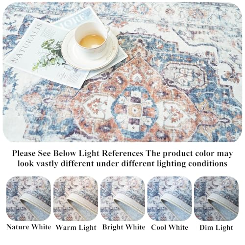 4x6 Living Room Area Rugs (4' x 6' (Rectangular) / Brick)
