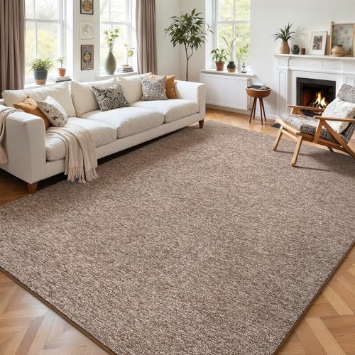 4x6 Area Rugs for Living Room Non Slip Dorm Bedroom Rug (4' x 6' (Rectangular) / Matte Brown)