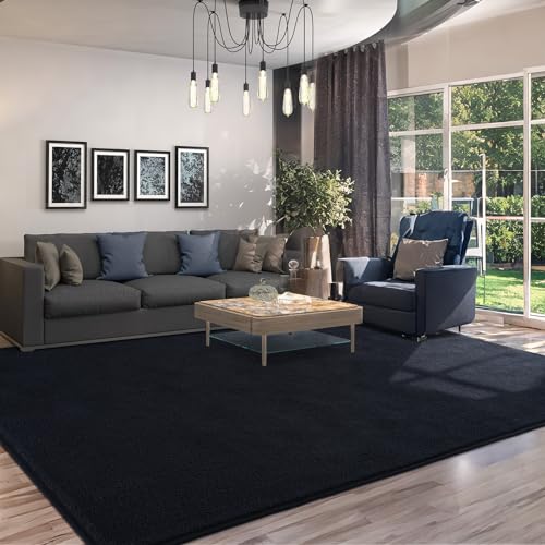 5x7 Area Rugs for Living Room Non Slip Dorm Bedroom Rug (5' x 7' (Rectangular) / Black)
