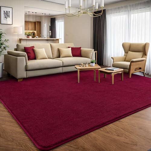 6x9 Area Rugs for Living Room Non Slip Dorm Bedroom Rug (6' x 9' (Rectangular) / Wine Red)