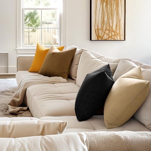 Velvet Throw Pillow Covers 12x12 Inch Pack of 2 Black (12" x 12" (Pack of 2) / Black)