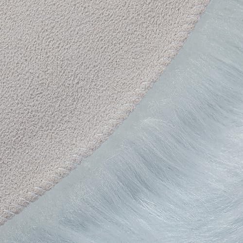 Faux Fur Rug Sheepskin Shag Fluffy Fuzzy White 2x3 ft Small Rugs for Bedroom Bedside Bed Floor Living Room Plush High (2' x 3' (Sheepskin) / White)