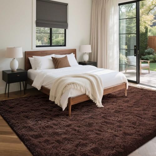 6x9 Ft Large Shag Rugs for Living Room Decor (De Coffee / 6' X 9' (Rectangular))