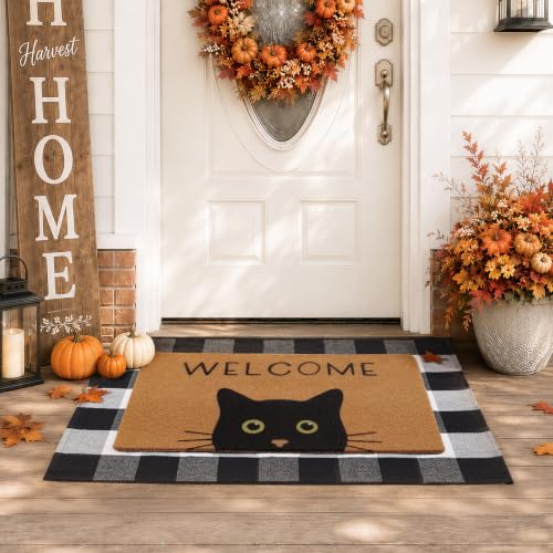 Welcome Mat Set (Cat With Green Eyes)