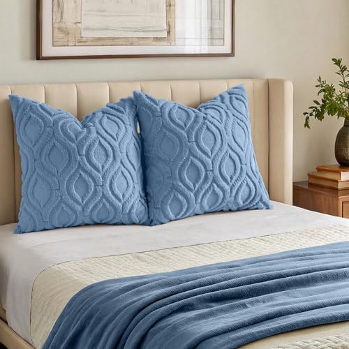 Faux Fur Plush Soft Blue Throw Pillow Covers 22x22 Set of 2 (22" x 22" (Pack of 2) / Blue)