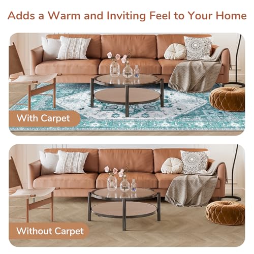 Soft Area Rugs 3x5 (3' x 5' (Rectangular) / Teal)