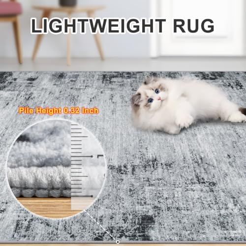 10x14 Area Rug Living Room (Black / 10' x 14' (Rectangular))